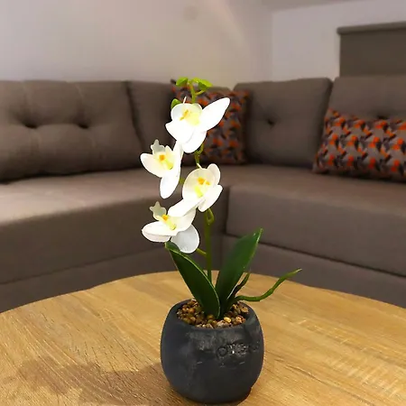 Banana Bay Residence- 4br With Pool,table Tennis,1min From The Sea By Mana Gers